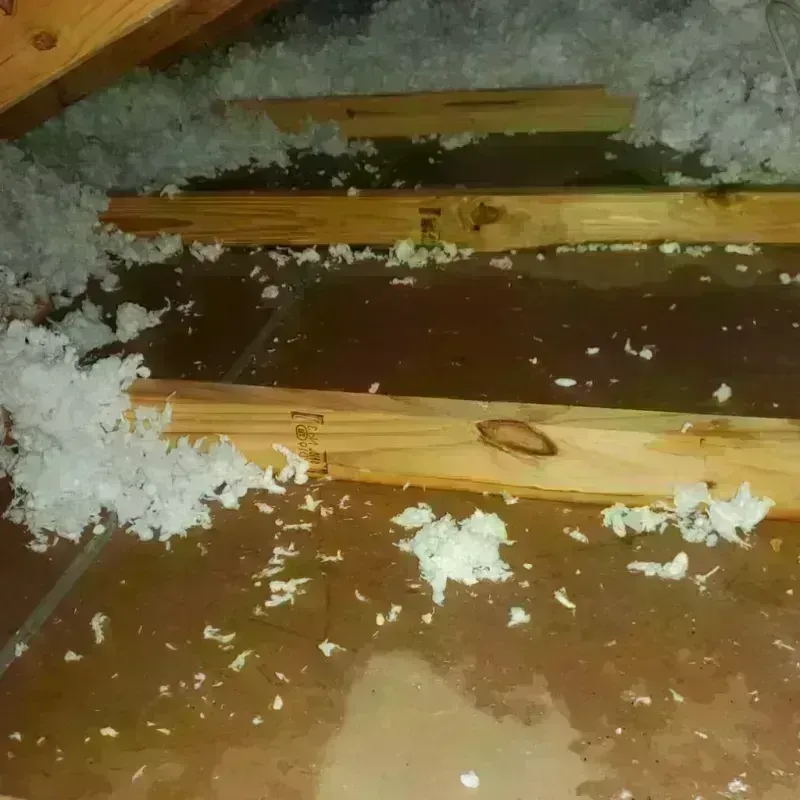 Attic Water Damage in Oak Trail Shores, TX